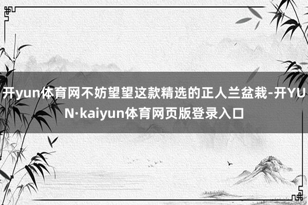 开yun体育网不妨望望这款精选的正人兰盆栽-开YUN·kaiyun体育网页版登录入口