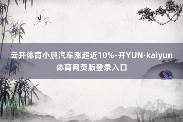 云开体育小鹏汽车涨超近10%-开YUN·kaiyun体育网页版登录入口