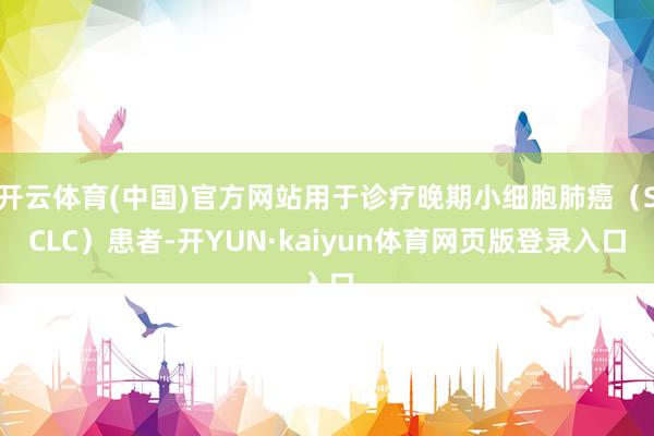 开云体育(中国)官方网站用于诊疗晚期小细胞肺癌（SCLC）患者-开YUN·kaiyun体育网页版登录入口